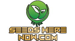 seeds here now Coupon code